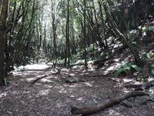 Parque Arqueológico La Zarza y Caldera de Agua